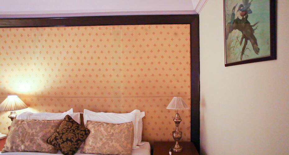 Hotel RajBlas-A Boutique Hotel, Hansi 3